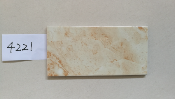 10x20 tiles design small size 4221