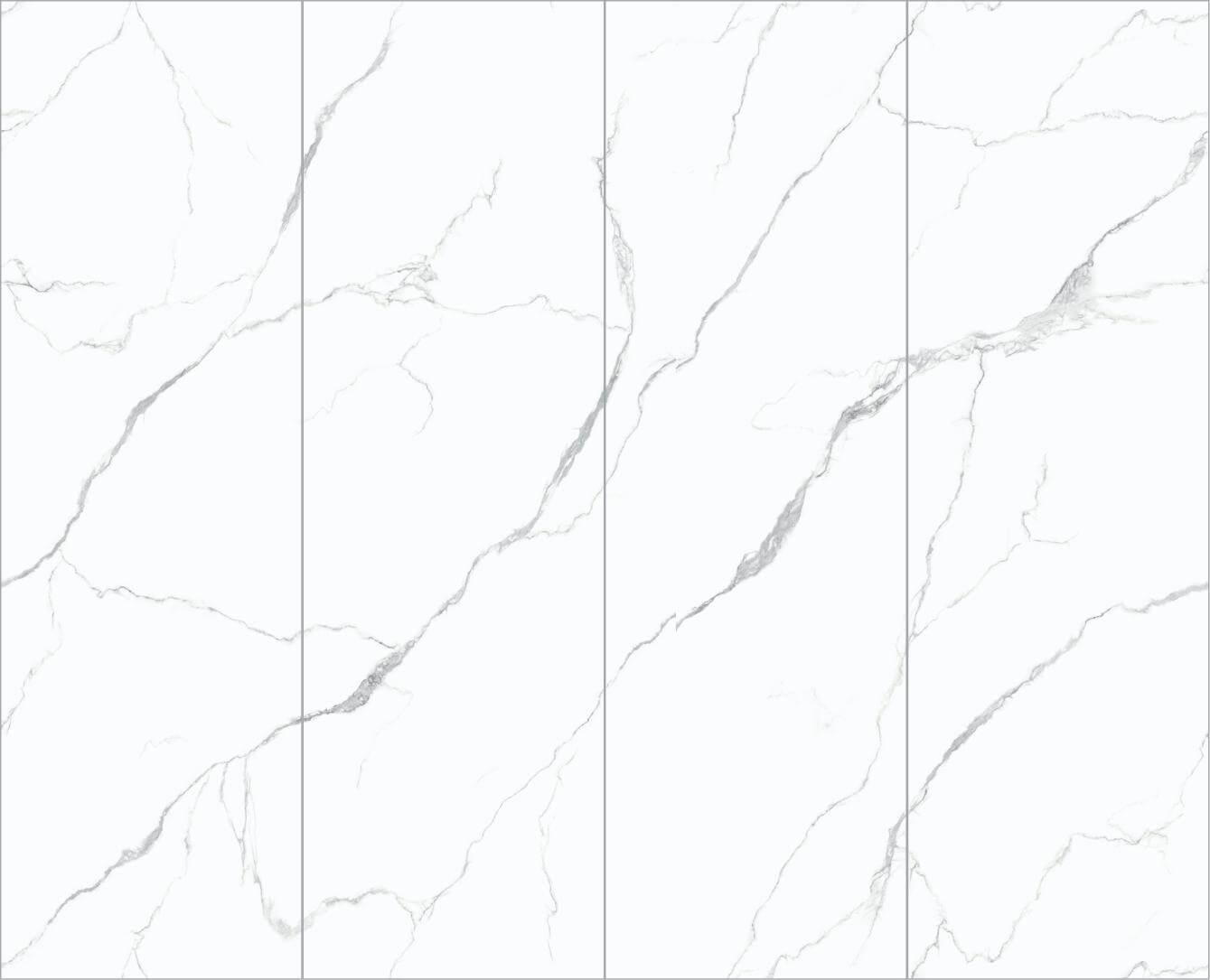 HH-SST8269006