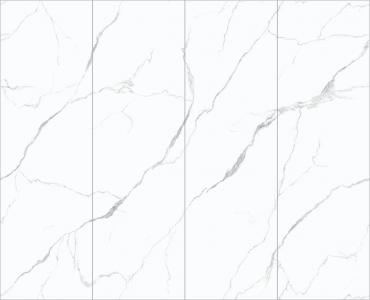 HH-SST8269006