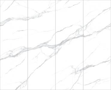 HH-SST8269005