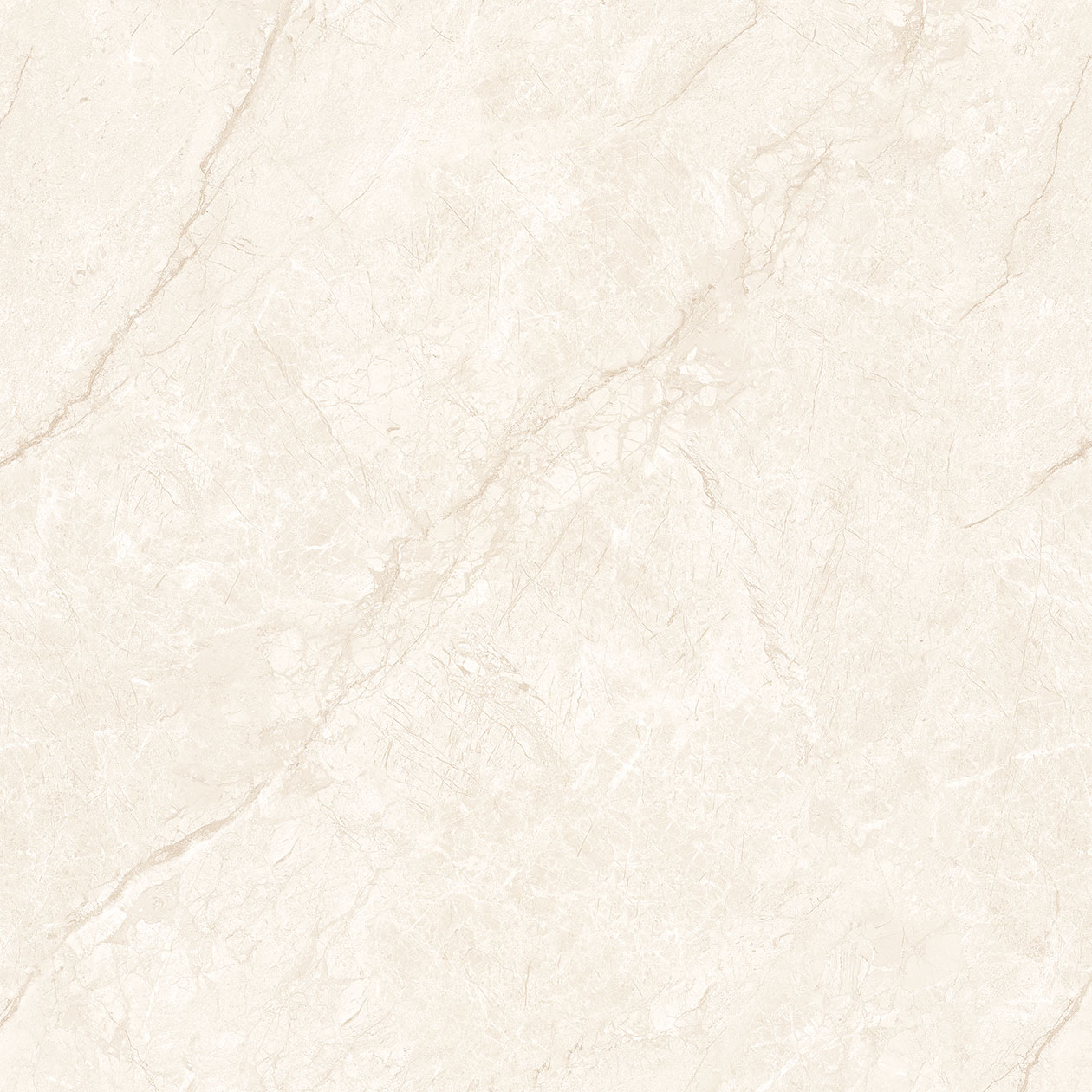 ZY-6008