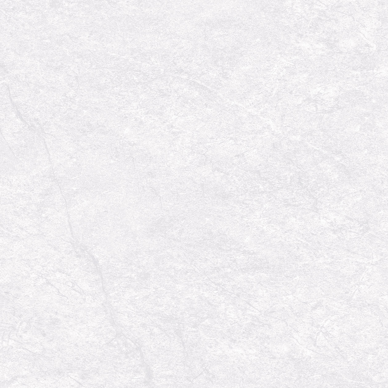 ZY-024