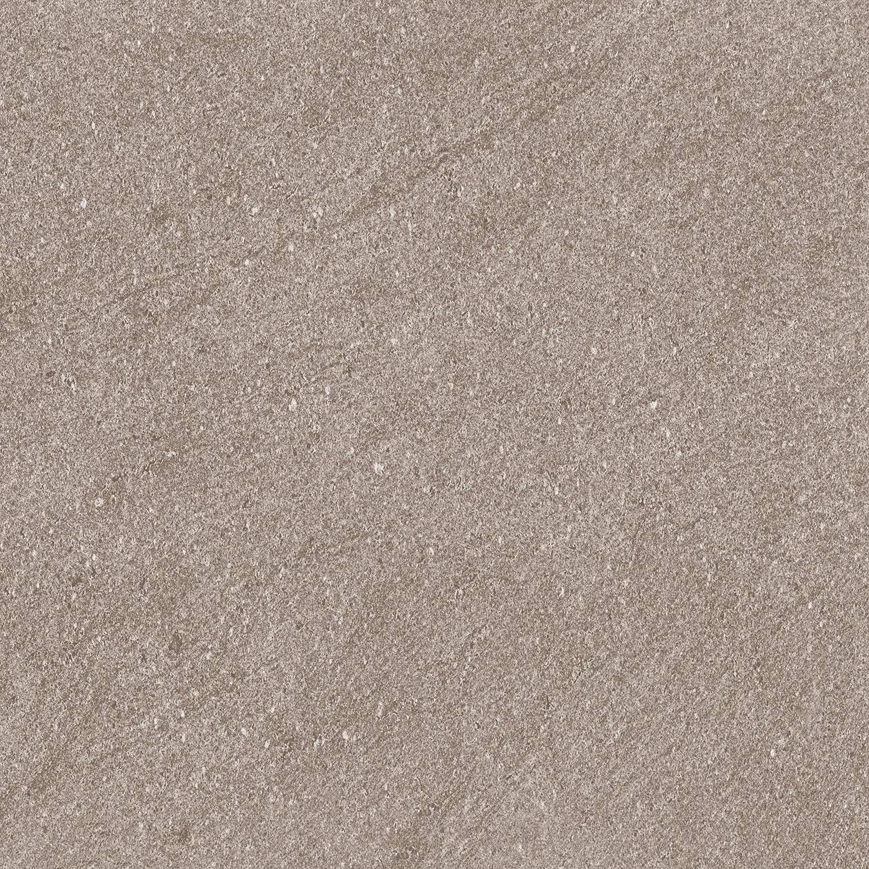 ZY-1061