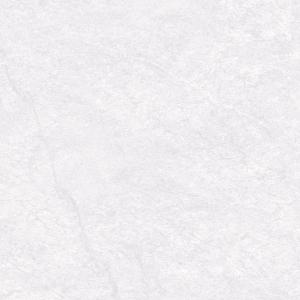 ZY-024